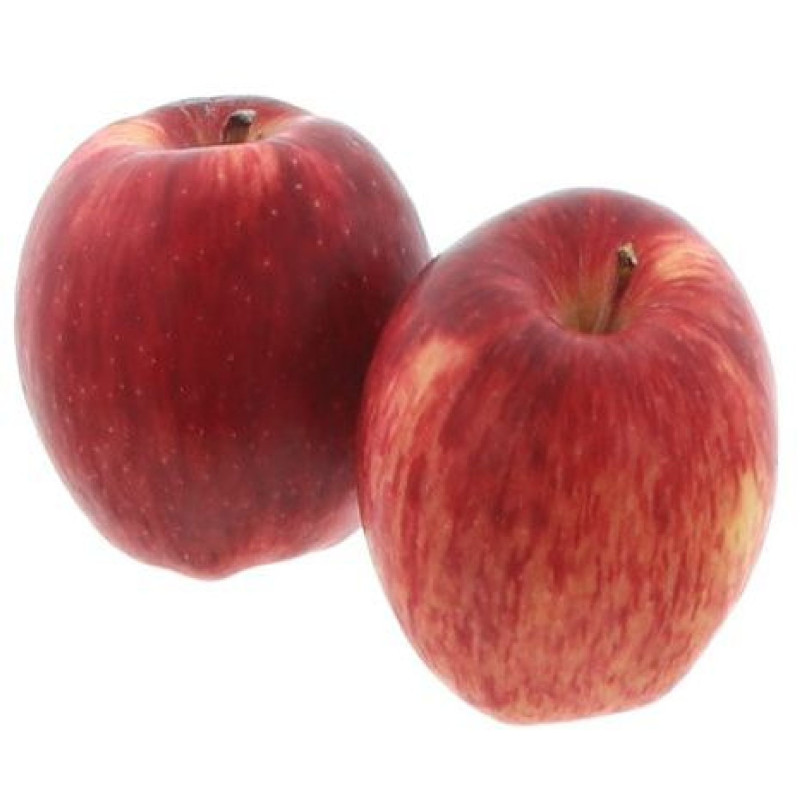 BIO POMME RED DELICIOUS LOT A KG